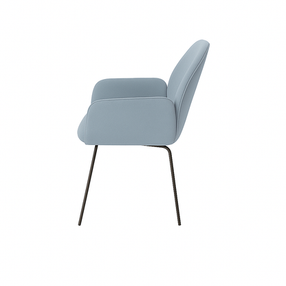 Scaun catifea ROSIE | model PETRA