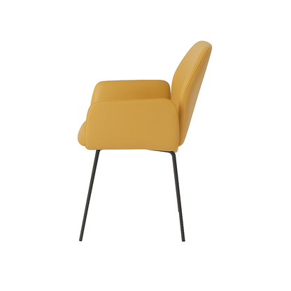 Scaun piele ALBA | model PETRA